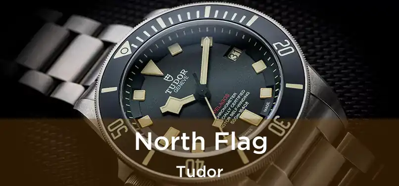  North Flag Tudor