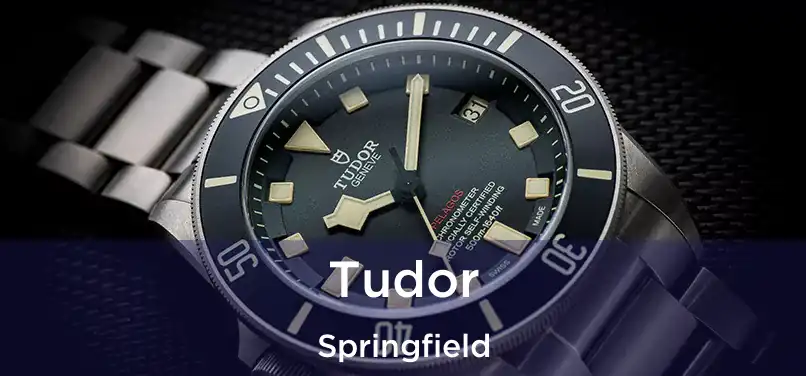  Tudor Springfield