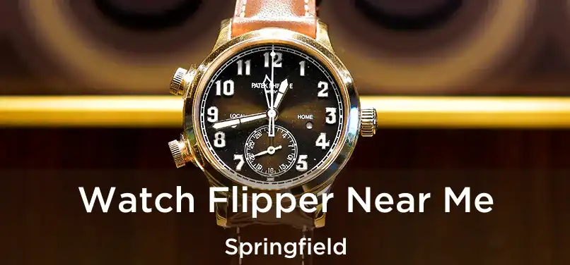  Watch Flipper Near Me Springfield